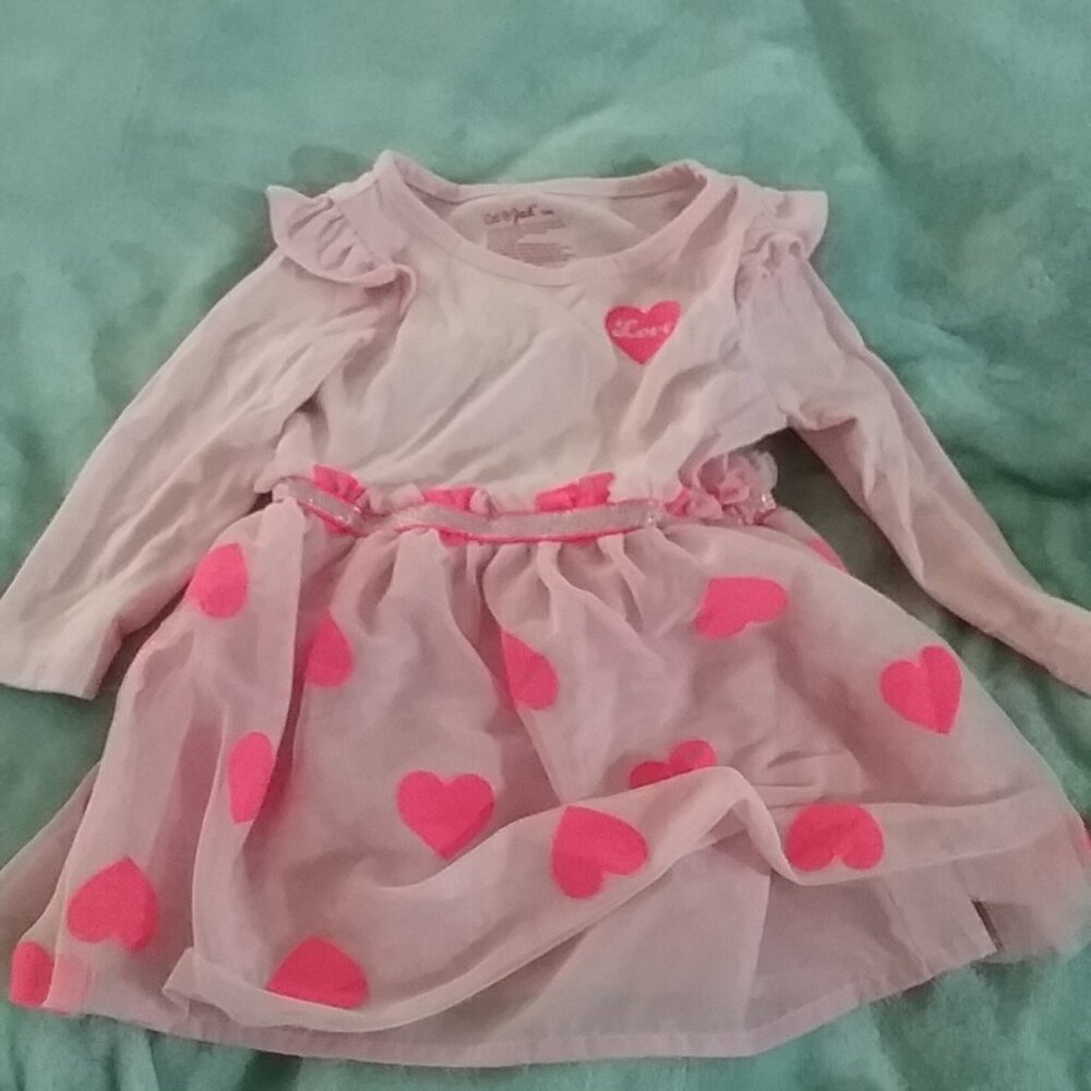 Cat &Jack Girl's Long Sleeved Tulle Dress, 18 Months